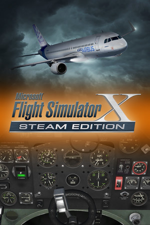 Servere Microsoft Flight Simulator X: Steam Edition