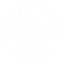 ANEURISM IV