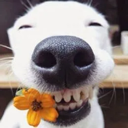 happy__gfy