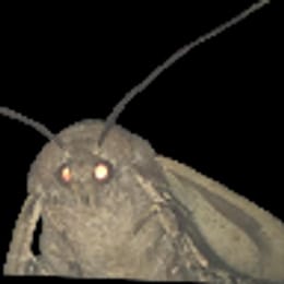 darksniper1996