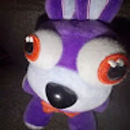 amir_d