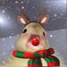 xolodnaya21