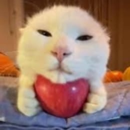 dimmoni