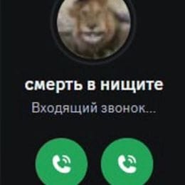 shIIzyHAHA