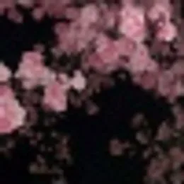 test_rust