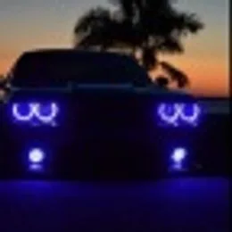 Alexander_B