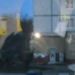 roman_vozvyshenny