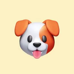 mishailurcuhukgmail_com