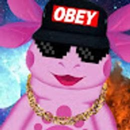 dwwsa