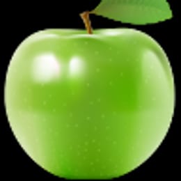 Apchushnik
