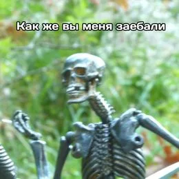 voyagevoyage