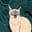 AgriLArs_260