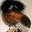 Arkady_Vasilev