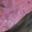 danya_milokhin