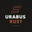 mandarin_urabus