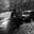 nikita_ecotec_ovech