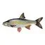 fish0