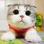 wixen1